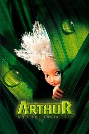 Arthur is a spirited ten-year old whose parents are away looking for work, whose eccentric grandfather has been missing for several years, and who lives with his grandmother in a country house that, in two days, will be repossessed, torn down, and turned into a block of flats unless Arthur's grandfather returns to sign some papers and pay off the family debt. Arthur discovers that the key to success lies in his own descent into the land of the Minimoys, creatures no larger than a tooth, whom his grandfather helped relocate to their garden. Somewhere among them is hidden a pile of rubies, too. Can Arthur be of stout heart and save the day? Romance beckons as well, and a villain lurks.