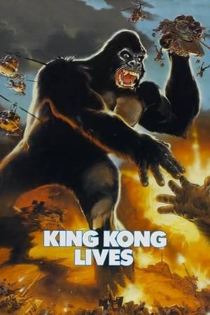 After falling from the Twin Towers, Kong lies in a coma for ten years. When his heart begins to fail, scientists engineer an artificial heart, and a giant female ape is captured to serve as a source for a blood transfusion. When Kong awakens following his heart transplant, he senses the nearby presence of the female ape and the two escape to wreak havoc together.