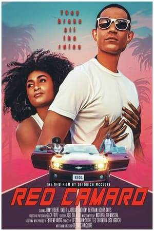 A young car thief and a flamboyant dancer meet and fall in love all while being hunted by corrupt cops for a bag of money.
