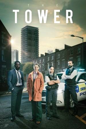 A veteran beat cop and teenage girl fall to their deaths from a tower block in south-east London, leaving a five-year-old boy and rookie police officer Lizzie Griffiths on the roof, only for them to go missing. Detective Sergeant Sarah Collins is drafted in to investigate, working to find Lizzie before she comes to serious harm, but also to uncover the truth behind the grisly tower block deaths.