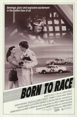 A race-car driver falls in love with a beautiful Italian automobile engineer who is traveling the NASCAR circuit to sell her controversial engine technology.