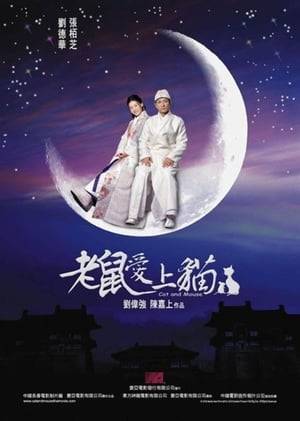 Zhan Zhao is a court officer who learns of a plot to assassinate Judge Bao. While on holiday he meets a young man named Bai who turns out to be a woman. Zhan Zhao tries to recruit Bai to help him stop the assassination of Judge Bao.
