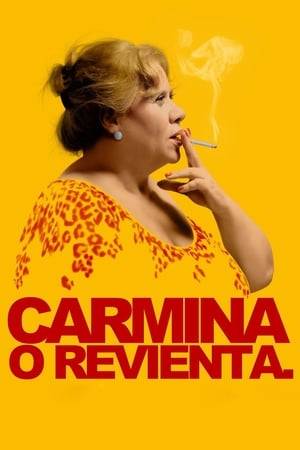 Carmina, 58, runs a shop selling Iberian products in Seville. After several robberies and no help from her insurance company, she comes up with a way to recover the money she needs to keep her family. While she waits in her kitchen for her plan to kick in, she thinks back over her life, her work and her miracles.