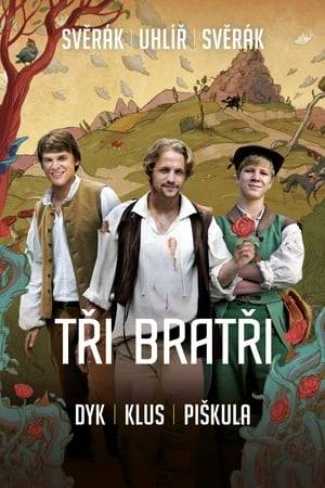 Three brothers leave their home to see the world. During their journey, young men as by miracle enter into famous fairy tales (Little Riding Hood, Sleeping Beauty, Twelve Months) and face traps, unexpected moments and even love in a story full of humor and songs.