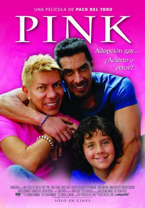 A gay couple adopts a child as they find out about the issues with gay adoption and the gay lifestyle.