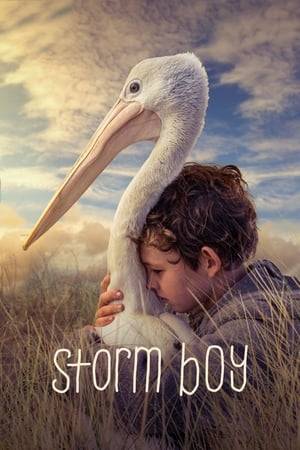 Storm Boy lives a lonely life with his reclusive father on a desolate coastline, but when he forms a close bond with a pelican, Mr. Percival, his life takes a new and unexpected turn.