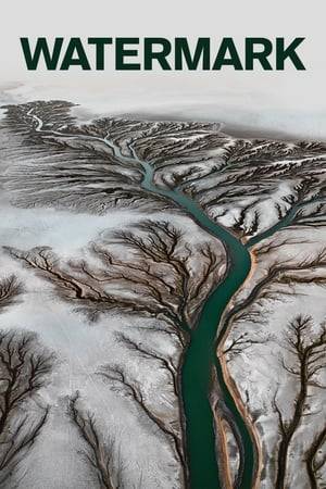 Following their triumph with Manufactured Landscapes, photographer Edward Burtynsky and filmmaker Jennifer Baichwal reunite to explore the ways in which humanity has shaped, manipulated and depleted one of its most vital and compromised resources: water.