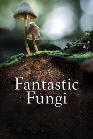 A vivid journey into the mysterious subterranean world of mycelium and its fruit— the mushroom. A story that begins 3.5 billion years ago, fungi makes the soil that supports life, connecting vast systems of roots from plants and trees all over the planet, like an underground Internet.  Through the eyes of renowned mycologist Paul Stamets, professor of forest ecology Suzanne Simard, best selling author Michael Pollan, food naturalist Eugenia Bone and others, we experience the power, beauty and complexity of the fungi kingdom.