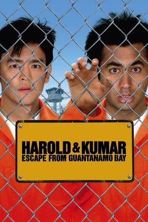 Having satisfied their urge for White Castle, Harold and Kumar jump on a plane to catch up with Harold's love interest, who's headed for the Netherlands. But the pair must change their plans when Kumar is accused of being a terrorist. Rob Corddry also stars in this wild comedy sequel that follows the hapless stoners' misadventures as they try to avoid being captured by the Department of Homeland Security.