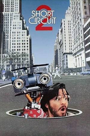 Robot Johnny 5 moves to the city to help his friend Ben Jahrvi with his toy manufacturing enterprise, only to be manipulated by criminals who want to use him for their own nefarious purposes.