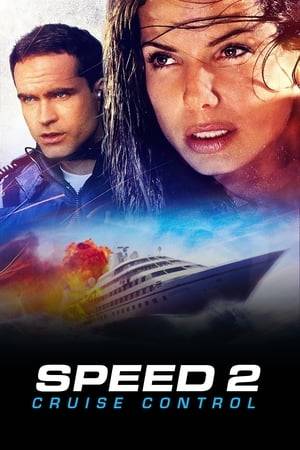 A disgruntled former employee hijacks the Seabourn Legend cruise liner. Set on a fixed course, without any means of communication and at the mercy of the hijacker, it's up to the one cop on vacation, and his soon to be fiancé (hopefully) Annie, to regain control of it before it kills the passengers and causes an environmental disaster. Insurmountable and daunting tasks awaits them on their  perilous journey throughout the ship trying to fend off the hijacker and save the passengers.
