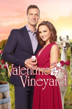 As partners in life and professional winemaking, Frankie Baldwin and Nate DeLuca have different personality types and styles. They’ve just gotten engaged when Frankie’s cousin Lexi and Nate’s brother Marco spring the news that they are getting married – and on Valentine’s Day. Agreeing to keep their plans a secret, Frankie and Nate offer to host Lexi and Marco’s big day.