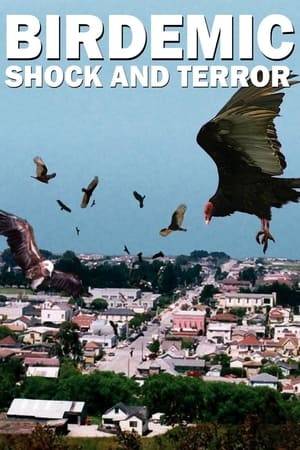 A platoon of eagles and vultures attacks the residents of a small town. Many people die. It's not known what caused the flying menace to attack. Two people manage to fight back, but will they survive Birdemic?