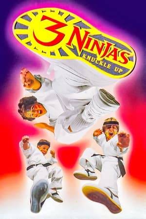 Rocky, Colt and TumTum must battle an evil wealthy toxic waste dumper in order to save a local Indian tribe and their friend Joe. The 3 Ninjas must help find Joe's father and find a secret disk that contains evidence that could stop the toxic landfill that is destroying the Indian community. However the town is owned by the rich man and he controls the police and even the mayor. They must fight a motorcycle gang and renegade cowboys in this non-stop ninja adventure.