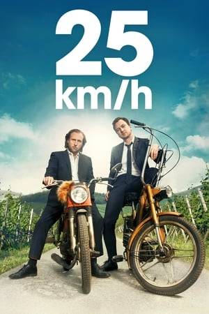 A road movie about two very different brothers who have not seen each other for 20 years: city manager Christian  and cabinetmaker Georg, who never left their hometown and took care of their father until his passing.  After their fathers funeral, the brothers decide on a whim, and with some help from the alcohol, to fulfil their old dream: travel trough Germany together on their mopeds.