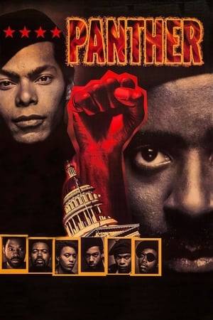 Panther is a semi-historic film about the origins of The Black Panther Party for Self-Defense. The movie spans about 3 years (1966-68) of the Black Panther's history in Oakland. Panther also uses historical footage (B/W) to emphasize some points.