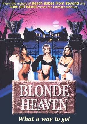 A coven of vampires operates out of a modeling/escort agency known as Blonde Heaven. Angie came from Oklahoma to find her way into the movie business, but is followed by her boyfriend Kyle. Head vamp Illyana takes a liking to Angie and convinces her to do escort work for the agency, but has other recruiting plans for her as well. While the vampires do their sleazy work around LA (and Angie gets in over her head), Kyle and a vampire hunter team up to try and stop the fiends.