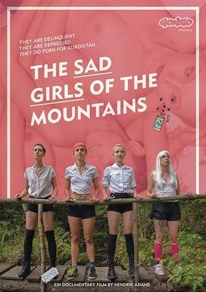 Four depressed girls in a mountain hideout transform their misery into porn films. The arrival of two gonzo reporters threatens to upset the fragile balance of this feminist micro-utopia.