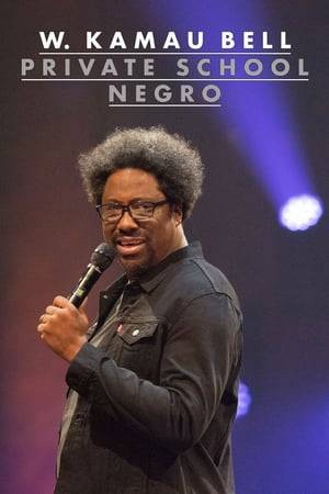 Comedian W. Kamau Bell muses on parenting in the Trump era, "free speech" dustups, woke children's TV and his fear of going off the grid.