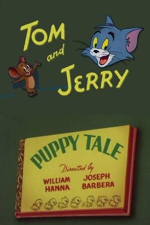 Jerry rescues a bag of puppies from the river. Most of them run away as soon as Jerry releases them, but one stays behind. Jerry tries to get rid of it, but ultimately takes pity and invites the frisky pup inside, where he has to hide it from Tom, who keeps throwing it out.