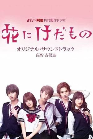 Kumi (Yurika Nakamura) is a transfer student at a prestigious high school. She meets Hyo (Yosuke Sugino) who is handsome and kind. Kumi falls in love with him and has her first kiss with him, but Hyo is famous for being a womanizer at school. After she discovers his true side, she gets hurts, but her feelings for him doesn't go away.