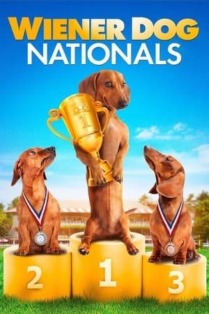 A family adopts a runt of a dachshund from a shelter. Only time will tell if little "Shelly" and her new family are up for the challenges of entering the nation's greatest wiener dog race, Wienerschnitzel's "Wiener Dog Nationals."