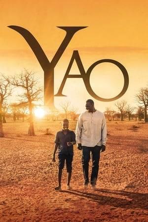From his village in northern Senegal, Yao is a 13-year-old boy ready to do anything to meet his hero: Seydou Tall, a famous French actor. Invited to Dakar to promote his new book, the latter goes to his country of origin for the first time. To fulfill his dream, the young Yao organizes his fugue and brave 387 kilometers alone to the capital. Touched by this child, the actor decides to flee his obligations and to accompany him home. But on the dusty and uncertain roads of Senegal, Seydou understands that while rolling towards the village of the child, it also rolls towards its roots.