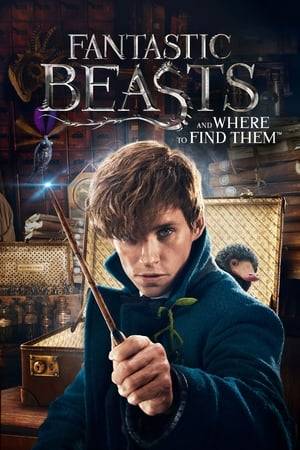 In 1926, Newt Scamander arrives at the Magical Congress of the United States of America with a magically expanded briefcase, which houses a number of dangerous creatures and their habitats. When the creatures escape from the briefcase, it sends the American wizarding authorities after Newt, and threatens to strain even further the state of magical and non-magical relations.