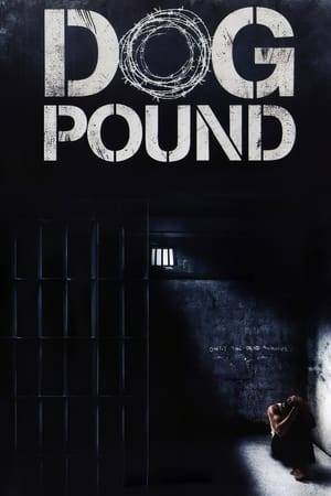 Three juvenile delinquents arrive at a correctional center and are put under the care of an experienced guard.