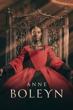The final months of Boleyn's life, her struggle with Tudor England's patriarchal society, her desire to secure a future for her daughter, Elizabeth, and the brutal reality of her failure to provide Henry with a male heir.