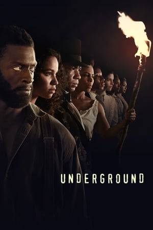 A group of slaves plan a daring 600-mile escape from a Georgia plantation. Along the way, they are aided by a secret abolitionist couple running a station on the Underground Railroad as they attempt to evade the people charged with bringing them back, dead or alive.