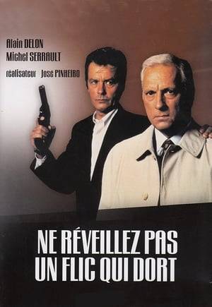 This movie tells the story of a group of right-wing cops have begun carrying out vigilante justice on drug dealers and other crime figures who might otherwise avoid punishment for their misdeeds. Police inspector Grindel (Delon) understands the feelings which motivate these deeds, but does not approve. However, he is not highly motivated to put an end to the group's activities until it begins to appear that they are now attacking fellow cops for reasons which are unclear.