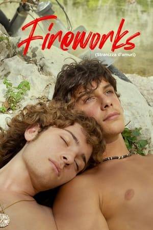 A sunbaked Sicilian town in the summer of 1982 provides the vivid backdrop to this tender romantic drama about two teenagers who fall in love, but much to the disapproval of those around them. Gianni is a handsome but shy teen who works as a car mechanic at his stepfather’s garage but is mercilessly taunted by the macho townsmen for being a homosexual. With his family life no better, Gianni withdraws into himself until one day he meets Nino, a curly-haired boy with an infectious smile. As the two become close and fall in love, the moral rumblings from their families and neighbors begin to erupt. With all against them, the boys decide to make a stand.