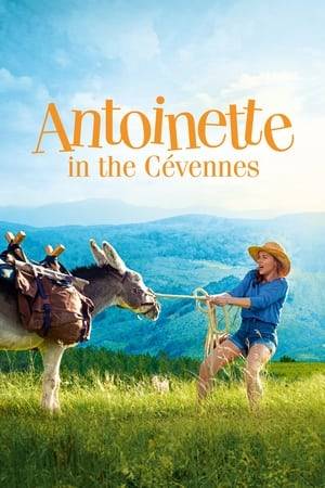 Antoinette, a school teacher, is looking forward to her long planned summer holidays with her secret lover Vladimir, the father of one of her pupils. When learning that Vladimir cannot come because his wife organized a surprise trekking holiday in the Cévennes National Park with their daughter and a donkey to carry their load, Antoinette decides to follow their track, by herself, with Patrick, a protective donkey.