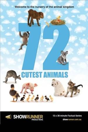 This series examines the nature of cuteness and how adorability helps some animal species to survive and thrive in a variety of environments.