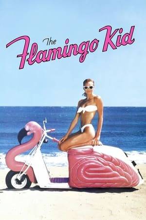 Brooklyn teenager Jeffrey Willis, thoroughly unhappy with his modest homestead, embraces the other-world aspects of his summer job at the posh Flamingo Club. He spurns his father in favor of the patronage of smooth-talking Phil Brody and is seduced by the ample bikini charms of club member Carla Samson. But thanks to a couple of late-summer hard lessons, the teen eventually realizes that family should always come first.