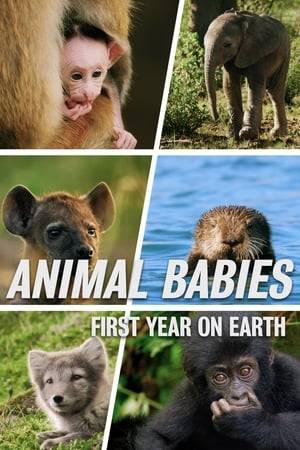Three wildlife camera operators follow six iconic baby animals as they face the challenges of surviving their first year on Earth.