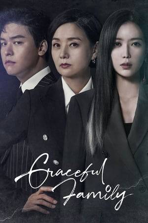 Mo Seok-hee is an only child and her father runs the large company MC Group. She is beautiful, smart and rich. Mo Seok-hee appears like she is arrogant, but she struggles over her mother’s death. Her mother was killed 15 years ago. Meanwhile, Heo Yoon-do is a lawyer, but he doesn’t even have an office. He solves small problems of neighborhood residents at a restaurant. He is full of love. Miraculously, Heo Yoon-do is headhunted to join the TOP team at MC Group. The TOP team manages the affairs of the family who runs the MC Group. Their job includes covering up immoral or illegal behaviors done by the family.