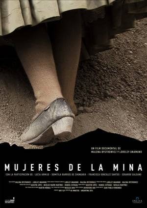 Portraits of three women who live and work in the infamous mines of El Cerro Rico in Bolivia. Work inside the mines has been limited to men, while the women are forced to work outside searching for mineral scraps on the side of the mountain. The film highlights the women's strength, determination and resilience in the face of struggle and hardship.