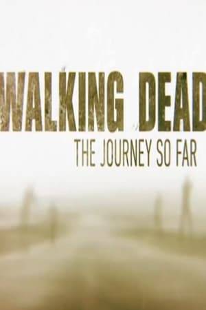 This two-hour retrospective in which the entire cast will tell the stories of their characters from the moment they were introduced through to where they were left at the end of the last episode of season 7. Beautifully shot interviews of the cast and the EPs are punctuated by clips of the most crucial moments in the series.  If someone has never seen a moment of The Walking Dead before, this special will catch them up on the plot, characters, locations, and unique terminology of the series leading up to season 8.