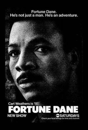 Fortune Dane is an 1986 television series starring Carl Weathers as the title character. The series aired on ABC.