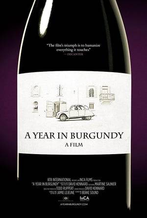 This documentary follows seven wine-making families in the Burgundy region of France, delving into the cultural and creative process of making wine. You'll never look at wine the same way again.