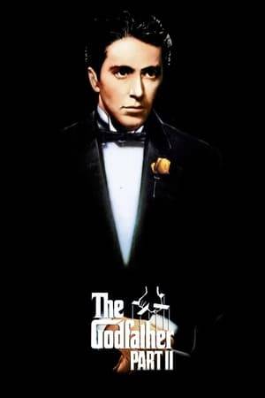 In the continuing saga of the Corleone crime family, a young Vito Corleone grows up in Sicily and in 1910s New York. In the 1950s, Michael Corleone attempts to expand the family business into Las Vegas, Hollywood and Cuba.
