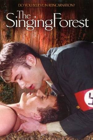 A tragic tale of two lovers from the holocaust. Fate tore them apart, destiny brought them together.