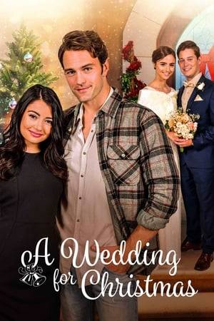 Haley Foster built a big city life in Los Angeles as a top wedding planner at an elite and powerful company run by Ms. Reynolds. When her sister, Angela, insists on getting married Christmas Day on the tree farm in their old hometown of Truxton, Haley is resigned to make her sister’s dreams come true and her parents happy.