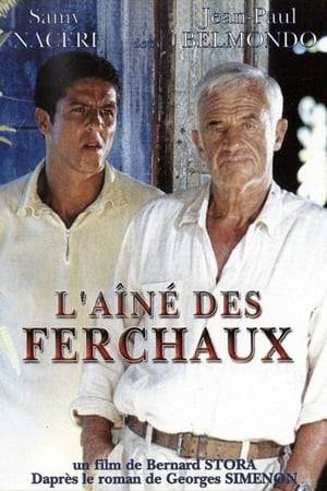 Ferchaux, a rich and powerful businessman, becomes the target of an investigating judge convinced of his involvement in a huge political and financial scandal. To obtain Ferchaux's confession, the judge throws his brother and partner in jail. Very attached to Gilles, whom he has always protected, Ferchaux fights to obtain his release. To get out, the businessman enlists the services of Mike Maudet, an ambitious and determined young man, who becomes his driver and then his private secretary.