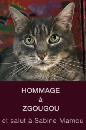 A short tribute to Zgougou, Varda’s cat who was given to her by Sabine Mamou.