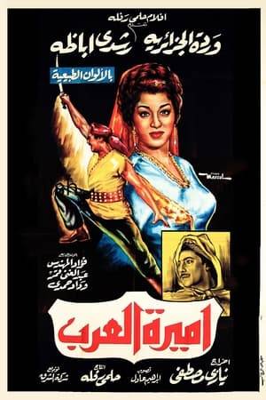 Prince Mahboob and his friend Yazid roam the country in search of a bride for his uncle who has a distinctive mark. They arrive in Wardistan, and rescue a woman who is being fought over by thieves, who was none other than Princess Shalia. Her father admires Mahboob's courage and decides to marry him to her, but Mahboob discovers that Shalia is his uncle's longed-for bride.