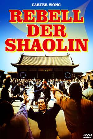 Superstar Carter Wong must protect the Shaolin Temple from a traitor from within the order. The Silver Fox has turned up the heat against Shaolin, but Carter and the Holy Warrior Monks will stand firm -- or die fighting!