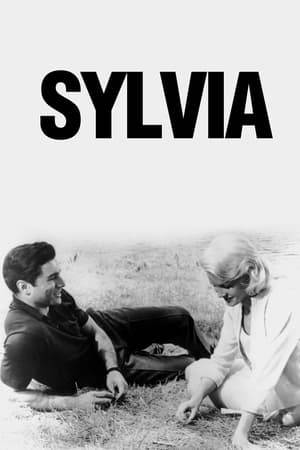 Sylvia West (Carroll Baker) may not be who she says she is. Her fiancé, the very well-to-do Frederick Summers (Peter Lawford), hires an investigator named Alan Maklin (George Maharis) to do some digging, and what he finds out about her life prior to becoming a writer is quite shocking. Will the newfound knowledge ruin the marriage? Gordon Douglas (Young at Heart) directs this drama, which is based on E.V. Cunningham's book.